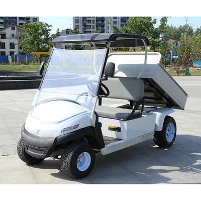 Unterstützen Sie OEM Elektro-Golfwagen mit hinteren Korbbbett und 2 4 6 Passagier Nutzfahrzeug Buggy Mindestfreiheit 150-200mm