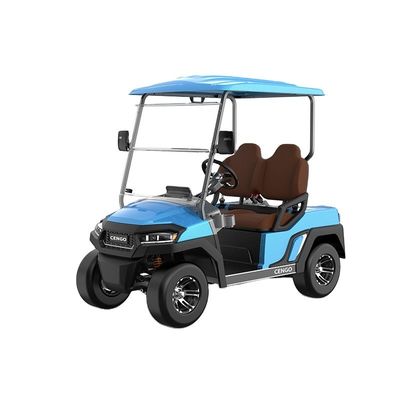 Ein guter Preis. Erschwinglicher 2-Sitzer-Elektro-Golf-Buggy perfekt für Familie und Jagd am Strand Online