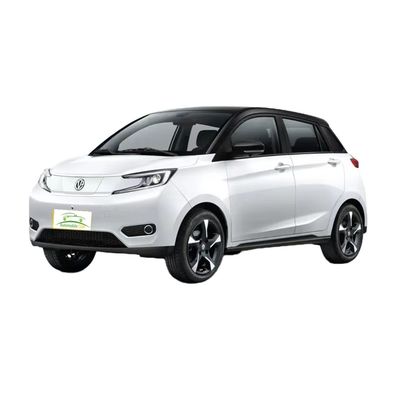 Ein guter Preis. 2023 Modell reiner Elektroauto YOUNG 302km Reichweite 0,5h Schnellladung 4 Sitzplätze Volllastgewicht 1080KG Maximale Leistung 35 100km/h Online