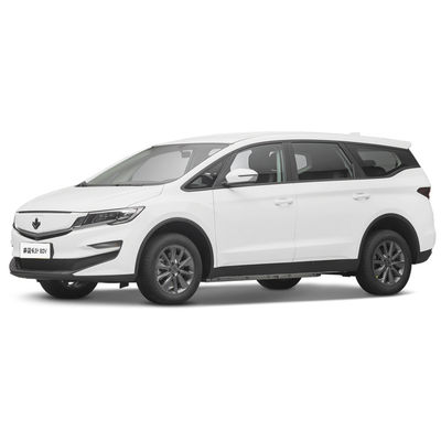 Ein guter Preis. 2023 Luxus 4-Sitzer Elektroauto Lifan Ahornblatt 80v Erwachsenenergiefahrzeug 139L Gepäckraum Volumen Online