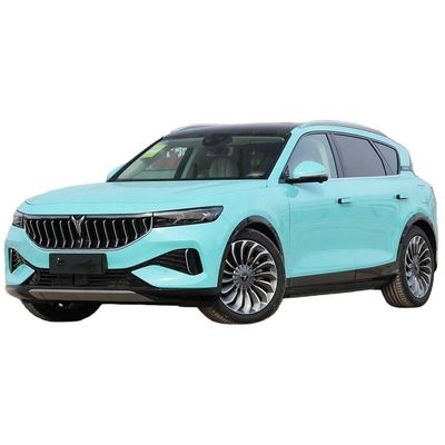 Ein guter Preis. Erwachsene 2024 Schnellelektromobile mit Energiefahrzeugen Lantu Freie Hybridfahrzeug VOYAH Freie TOP-Version AWD EV SUV 4905*1950*1645 Online