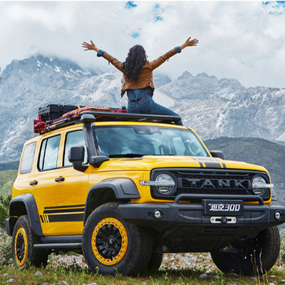 Ein guter Preis. 2023 Maximalgeschwindigkeit 160km/h Changcheng Great Wall Tank 300 SUV Fahrzeug Autos 0km Gebrauchtwagen SUV 2.0T Kompakt Suv Limousine Verkauf Online