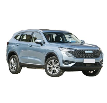 Ein guter Preis. 2024 GWM Haval H6 Car Shop Online Plug In Hybrid SUV 1.5T DHT PHEV Maximalmotorleistung 240kW 110km Version Energiefahrzeug Online